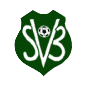 Surinam Logo