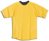 Arsenal Camiseta 2007 2006-2007 visitante, vista espalda 