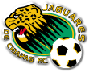Jaguares logo