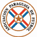 Asociación Paraguaya de Fútbol Logo