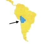 Bolivia en el Mundo