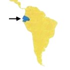 Ecuador en el Mundo